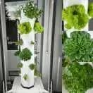 FrugalTec Indoor-Garten mit Baukastensystem