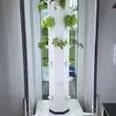 FrugalTec - dein nachhaltiger Salat- und Gemüsegarten für Zuhause, das ganze Jahr Ernte 