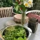 FrugalTec dein Indoor Outdoor Garten für zuhause, frisches Gemüse deinen Bedürfnissen angepasst