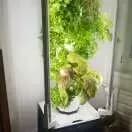 FrugalTec dein Indoor Outdoor Garten für zuhause, frisches Gemüse deinen Bedürfnissen angepasst