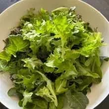 FrugalTec dein vertikaler Garten für Zuhause, nachhaltig Gemüse anbauen und selbstversorgen