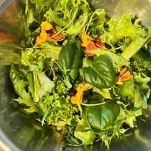 FrugalTec Indoor-Garten mit Baukastensystem