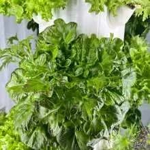 FrugalTec Indoor-Garten mit Baukastensystem