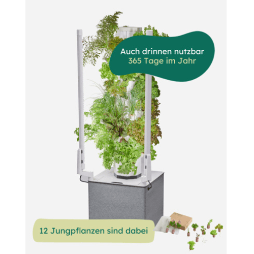 Indoor Garten – Gemüse anbauen in der Wohnung