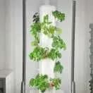 FrugalTec FARMii-System ist dein vertikaler Garten für Zuhause, Indoor und Outdoor möglich