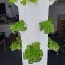 FrugalTec FARMii-System ist dein vertikaler Garten für Zuhause, Indoor und Outdoor möglich