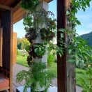 FrugalTec - dein Selbstversorgungs-Gemüsegarten für Zuhause