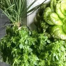 FrugalTec - dein Selbstversorgungs-Gemüsegarten für Zuhause